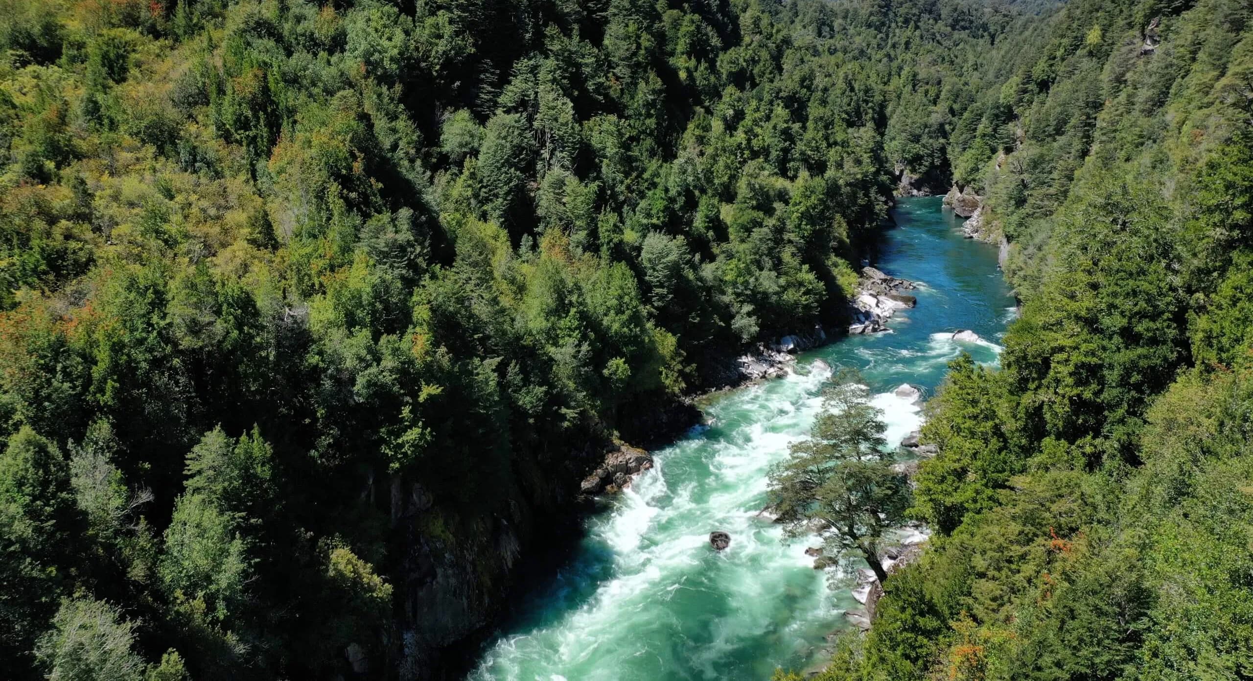 https://biosfera-austral-wp.test-3.soho.cl/wp-content/uploads/2024/12/image-2_2_11zon.webp