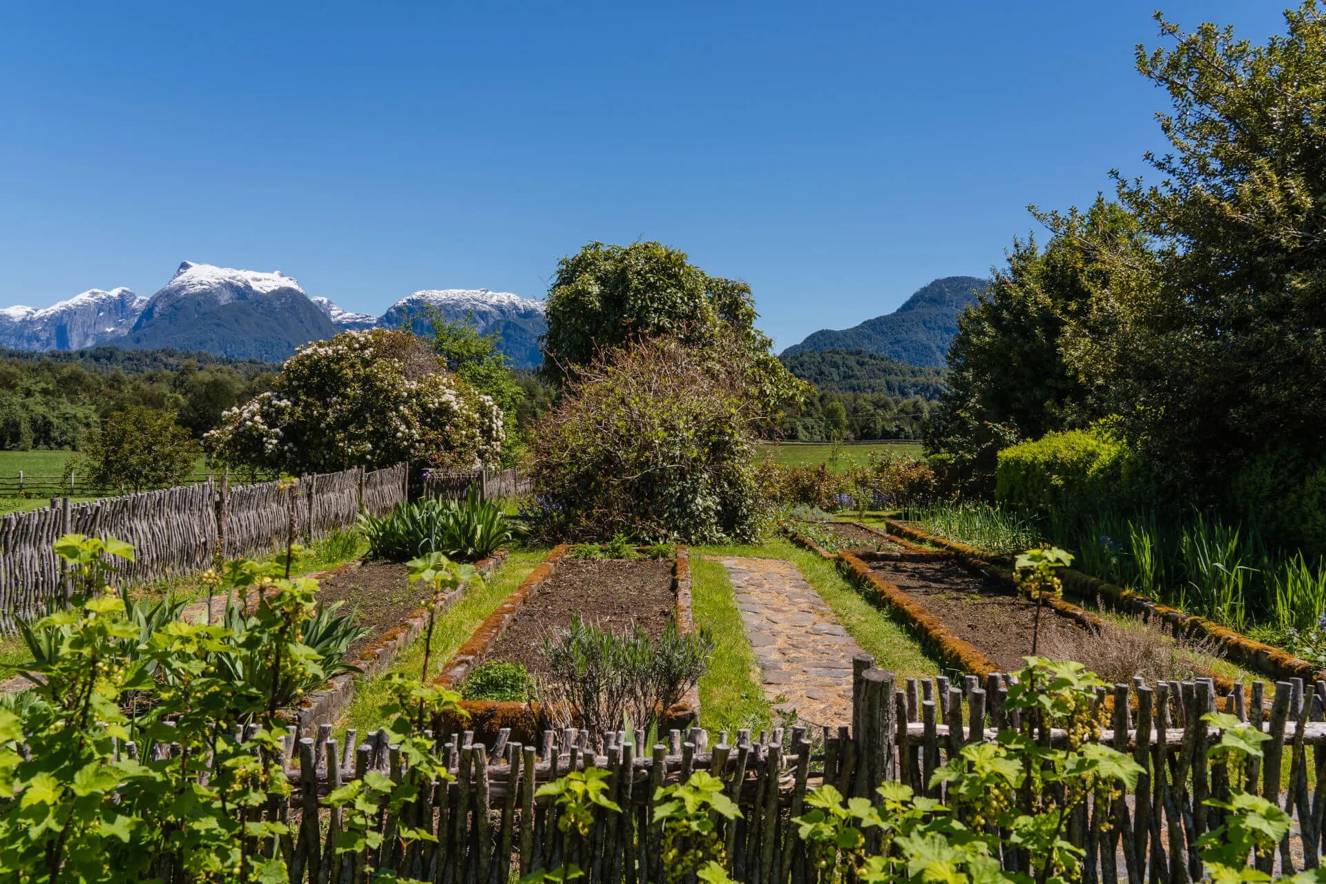 https://biosfera-austral-wp.test-3.soho.cl/wp-content/uploads/2024/12/image-2_4_11zon.webp