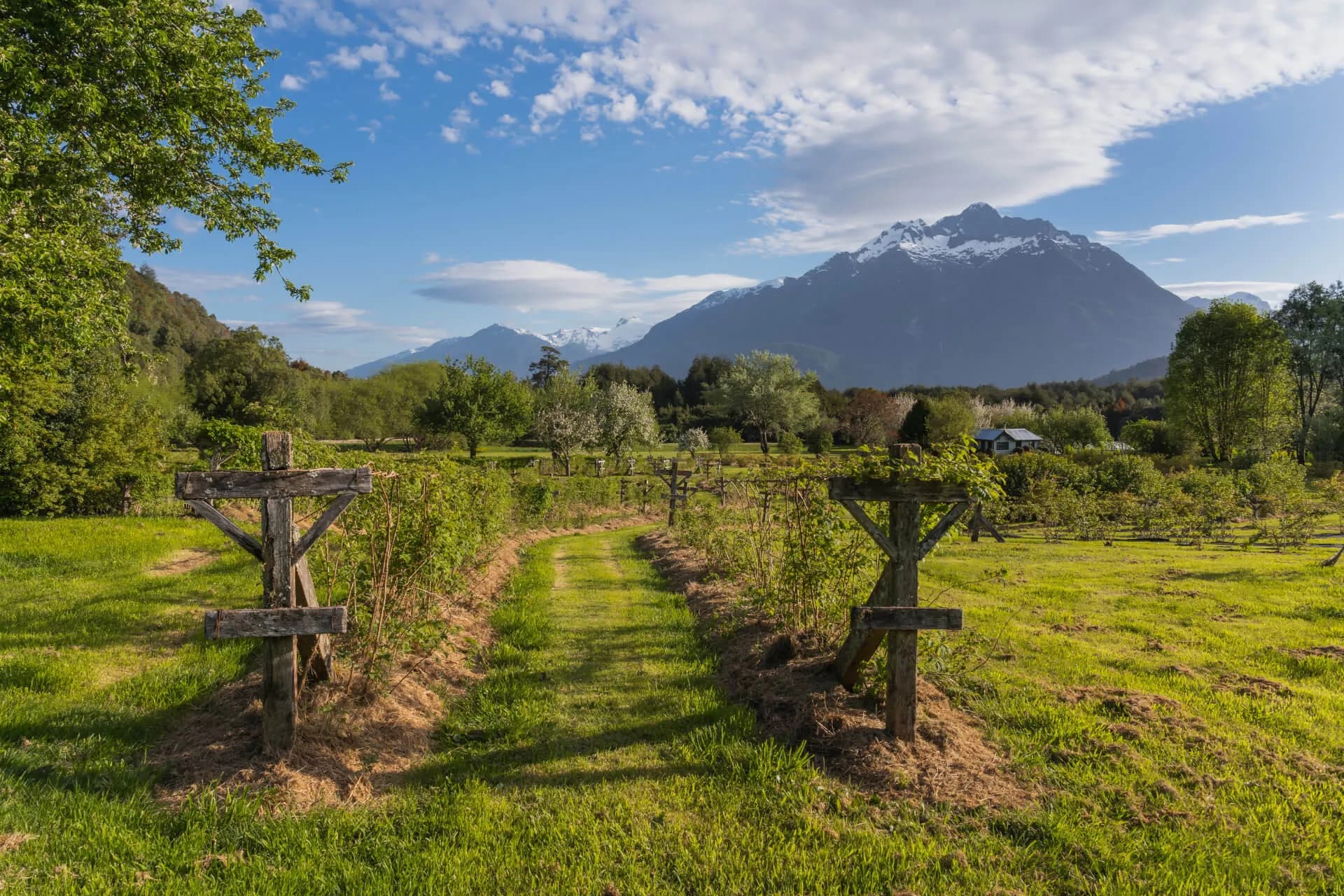 https://biosfera-austral-wp.test-3.soho.cl/wp-content/uploads/2024/12/image-3_5_11zon.webp