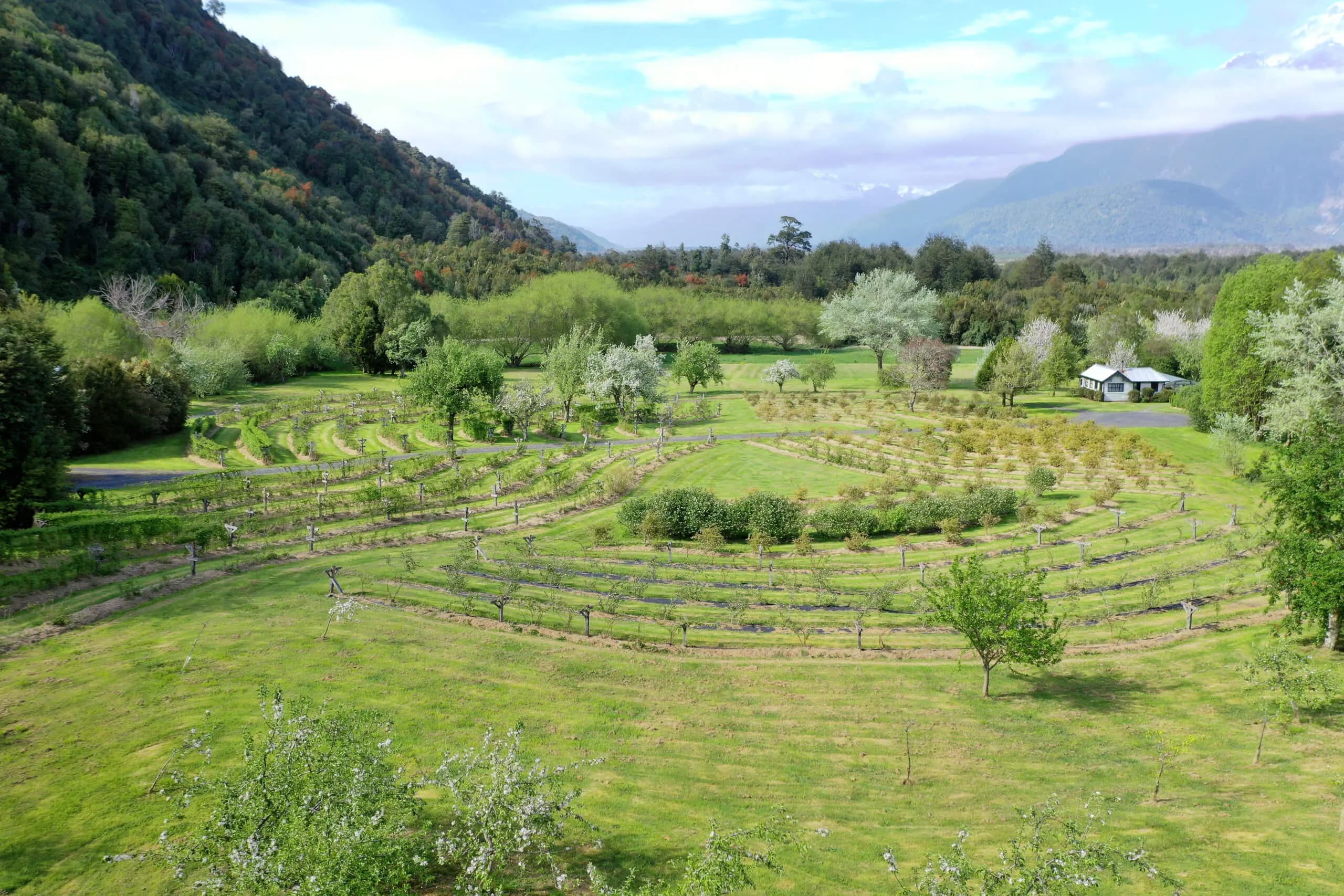 https://biosfera-austral-wp.test-3.soho.cl/wp-content/uploads/2024/12/image-9_11_11zon.webp