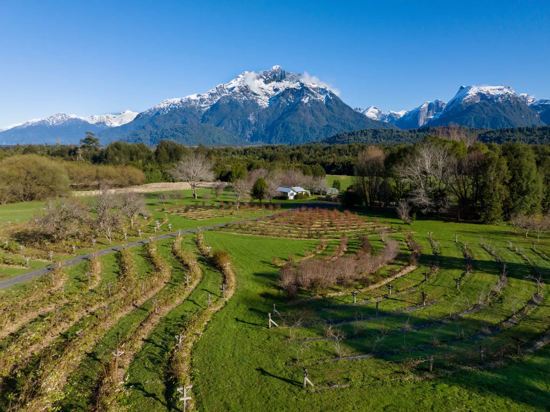 https://biosfera-austral-wp.test-3.soho.cl/wp-content/uploads/2024/12/land.webp