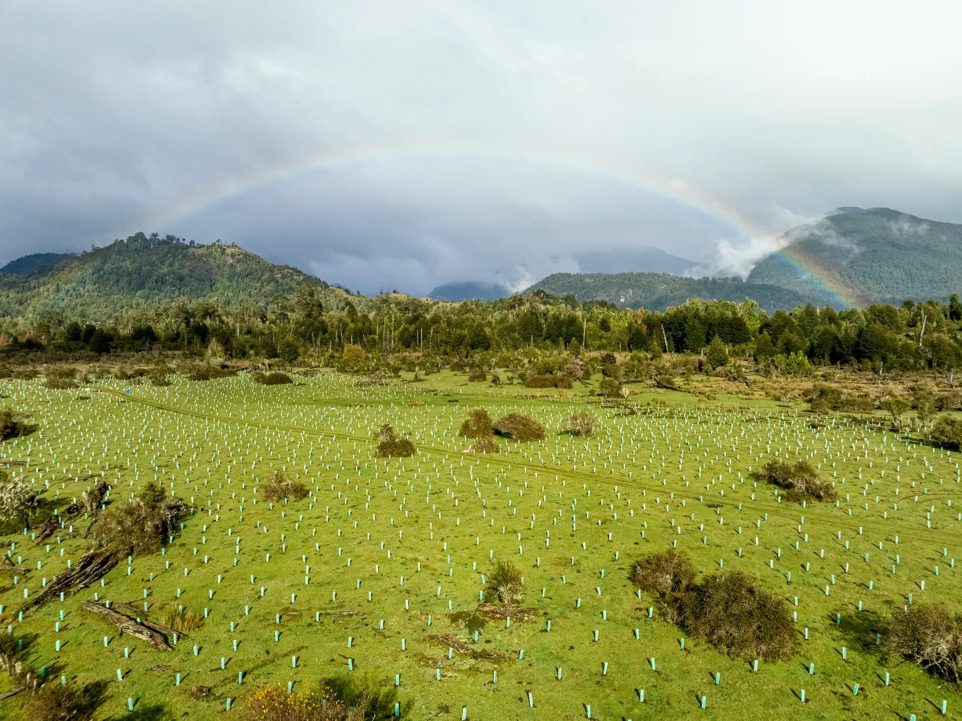 https://biosfera-austral-wp.test-3.soho.cl/wp-content/uploads/2025/09/imagenLarga3.webp