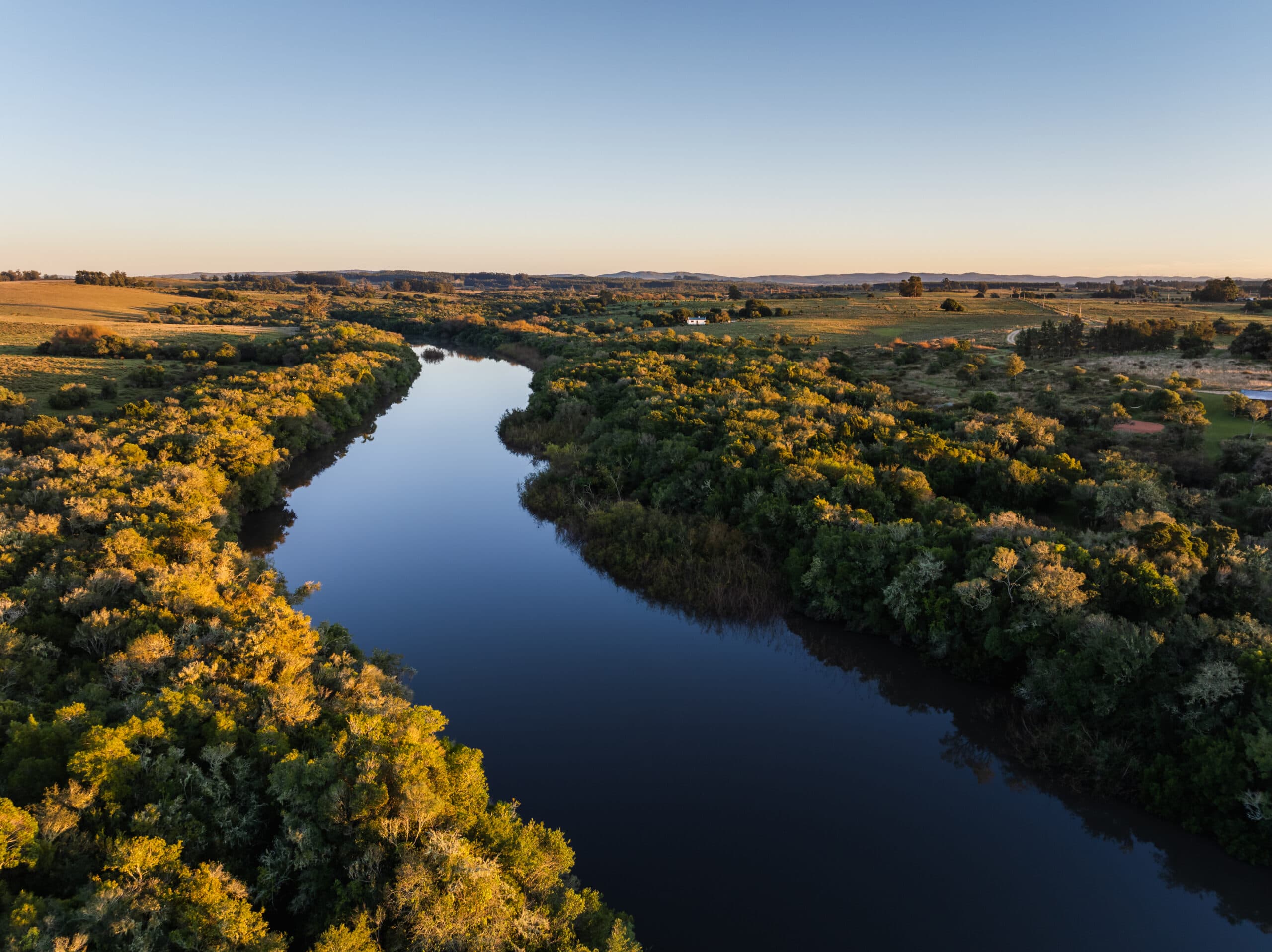 La Ribera